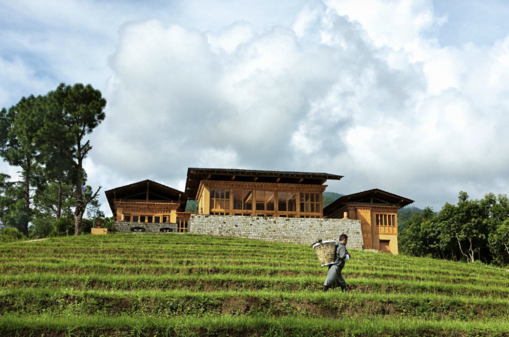 Uma Punakha